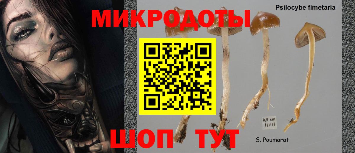 Красноярск  Псилоцибиновые грибы Psilocybine cubensis  Вход с VPN 